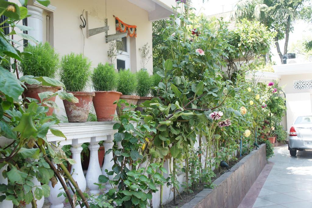 Sirohi House Yeni Delhi Dış mekan fotoğraf