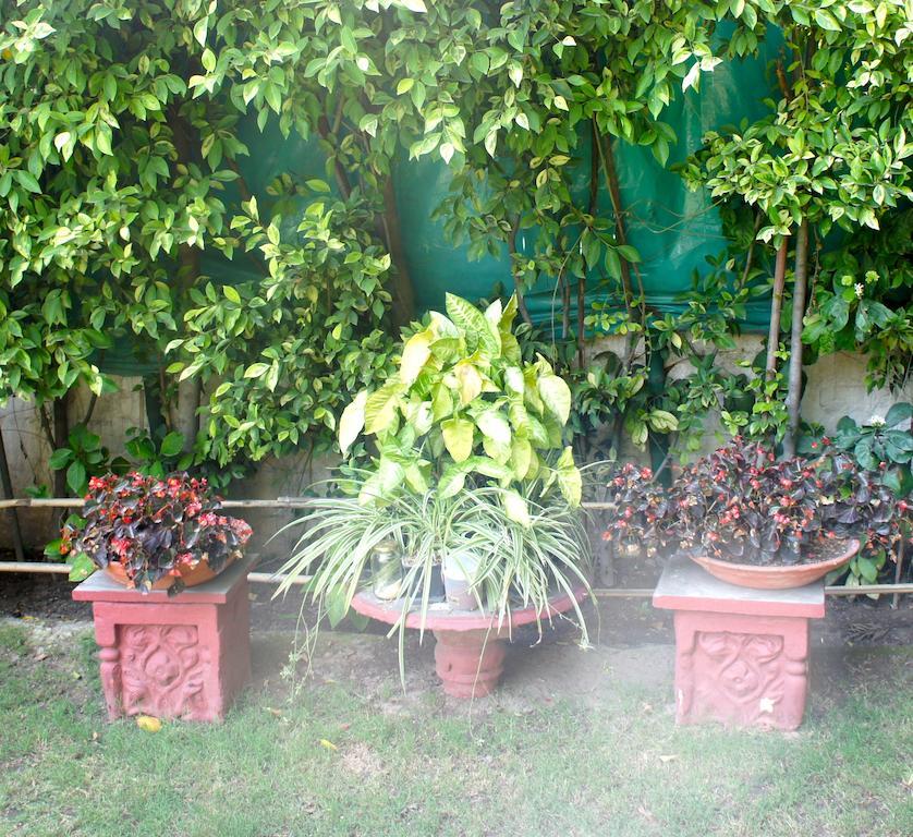 Sirohi House Yeni Delhi Dış mekan fotoğraf