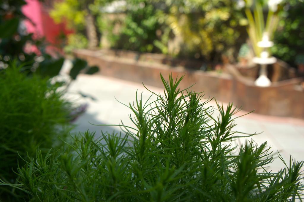 Sirohi House Yeni Delhi Dış mekan fotoğraf